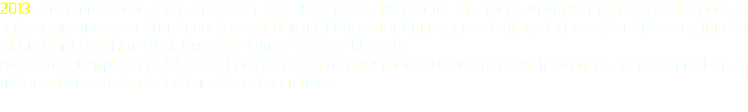 2013 entschloss man sich anlässlich des 20-jährigen Jubiläums ein neues unverkennbares Vereinslogo zu entwerfen. Auch neue Vereinsschals wurden mit dem neuen Logo angeschafft und eigene Vereinstassen für den Glühweinverkauf im Nikolausmarkt beim Kössinger bestellt.
Auf dem Nebenplatz des Waldstadions wurde zum Jubiläum im Juli auch ein Kleinfeldturnier mit 8 Mannschaften mit anschliessenden Feierlichkeiten abgehalten.